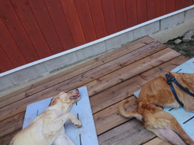 f:id:roukenhome-ann:20190731111204j:plain