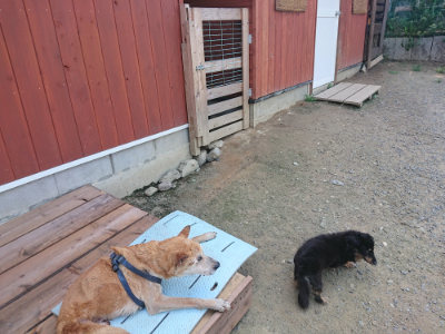 f:id:roukenhome-ann:20190731111246j:plain