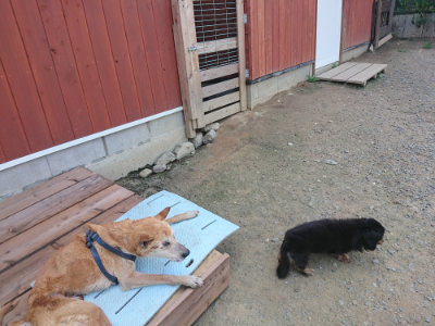 f:id:roukenhome-ann:20190731111252j:plain