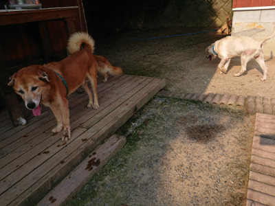 f:id:roukenhome-ann:20190731153027j:plain
