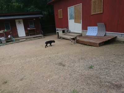 f:id:roukenhome-ann:20190731153033j:plain