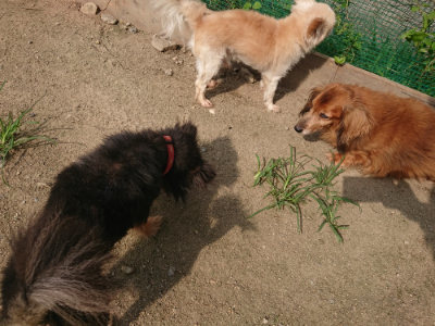 f:id:roukenhome-ann:20190731153039j:plain