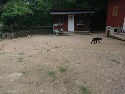 f:id:roukenhome-ann:20190731153131j:plain