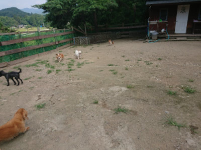 f:id:roukenhome-ann:20190731153205j:plain