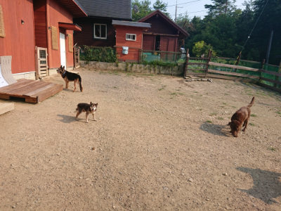f:id:roukenhome-ann:20190731153316j:plain