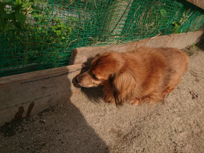 f:id:roukenhome-ann:20190731153436j:plain