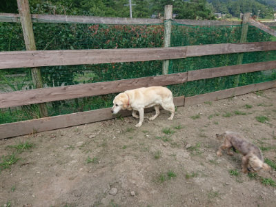 f:id:roukenhome-ann:20190731153445j:plain