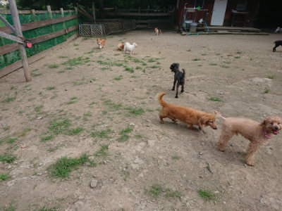 f:id:roukenhome-ann:20190731153457j:plain
