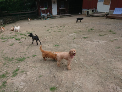 f:id:roukenhome-ann:20190731153505j:plain