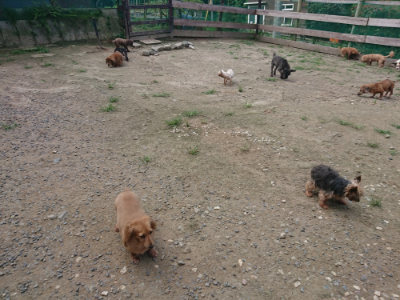 f:id:roukenhome-ann:20190731153533j:plain