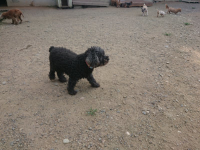 f:id:roukenhome-ann:20190731153555j:plain
