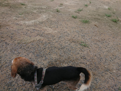 f:id:roukenhome-ann:20190731153639j:plain