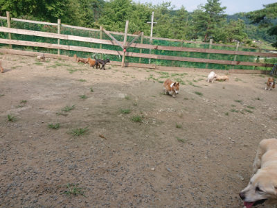 f:id:roukenhome-ann:20190731153647j:plain