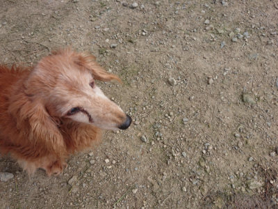 f:id:roukenhome-ann:20190731153726j:plain