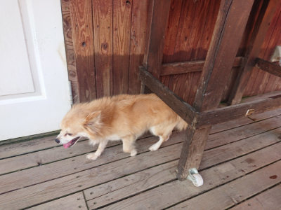 f:id:roukenhome-ann:20190731153737j:plain