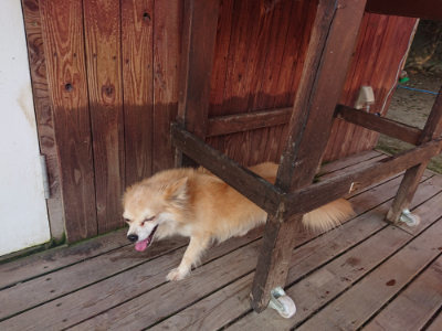 f:id:roukenhome-ann:20190731153817j:plain