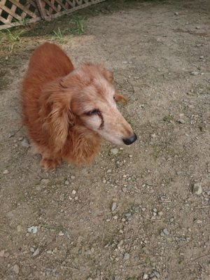 f:id:roukenhome-ann:20190731153833j:plain