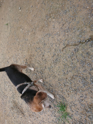 f:id:roukenhome-ann:20190731153846j:plain