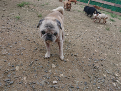 f:id:roukenhome-ann:20190731154303j:plain
