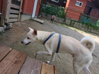 f:id:roukenhome-ann:20190731154345j:plain