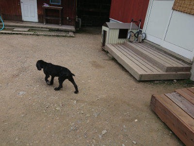 f:id:roukenhome-ann:20190731154406j:plain