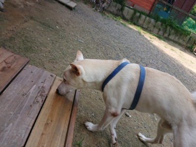f:id:roukenhome-ann:20190731154417j:plain