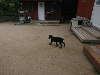 f:id:roukenhome-ann:20190731154430j:plain