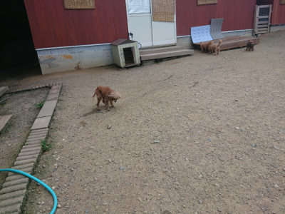 f:id:roukenhome-ann:20190731154436j:plain