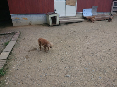 f:id:roukenhome-ann:20190731154449j:plain