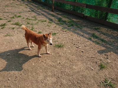f:id:roukenhome-ann:20190731154515j:plain