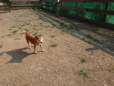 f:id:roukenhome-ann:20190731154533j:plain