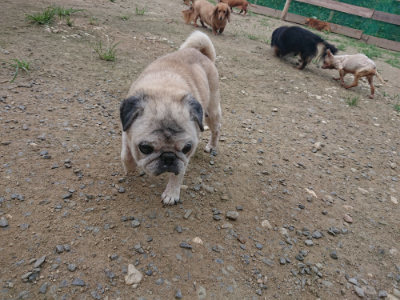 f:id:roukenhome-ann:20190731154552j:plain