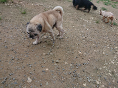 f:id:roukenhome-ann:20190731154623j:plain