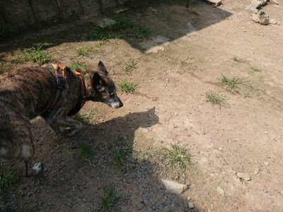 f:id:roukenhome-ann:20190731154627j:plain