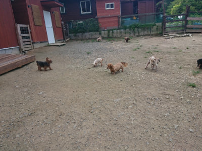 f:id:roukenhome-ann:20190731154640j:plain