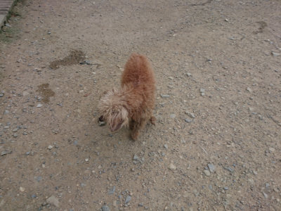 f:id:roukenhome-ann:20190731154828j:plain
