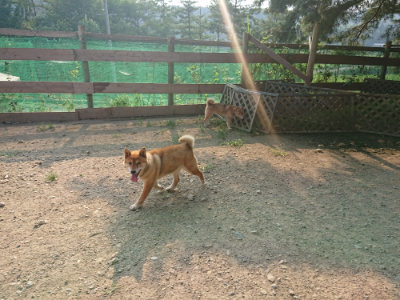 f:id:roukenhome-ann:20190731154926j:plain