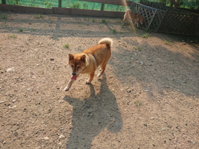 f:id:roukenhome-ann:20190731154937j:plain