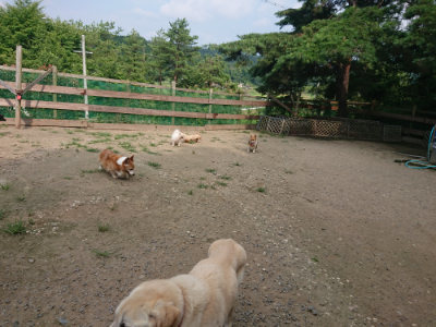 f:id:roukenhome-ann:20190731154943j:plain