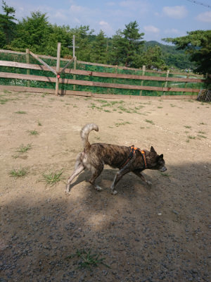 f:id:roukenhome-ann:20190731154948j:plain