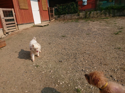 f:id:roukenhome-ann:20190731155018j:plain