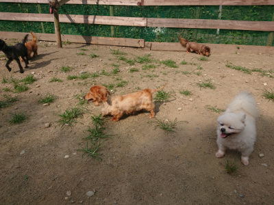 f:id:roukenhome-ann:20190731155054j:plain