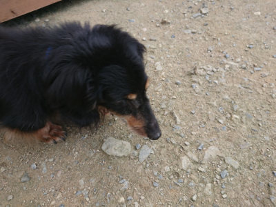 f:id:roukenhome-ann:20190731180851j:plain