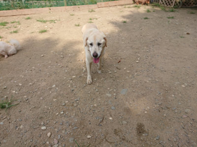 f:id:roukenhome-ann:20190731180924j:plain
