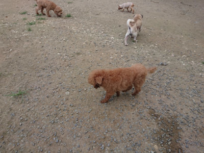 f:id:roukenhome-ann:20190731180932j:plain