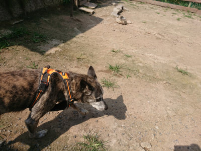 f:id:roukenhome-ann:20190731180939j:plain