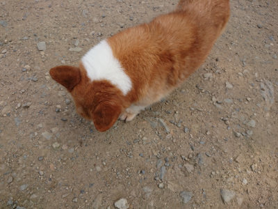f:id:roukenhome-ann:20190731180954j:plain