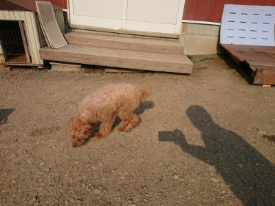 f:id:roukenhome-ann:20190731181006j:plain