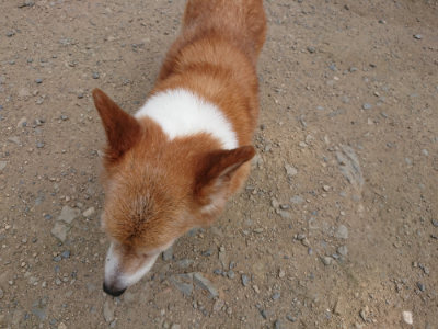 f:id:roukenhome-ann:20190731181016j:plain