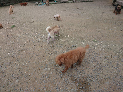 f:id:roukenhome-ann:20190731181022j:plain